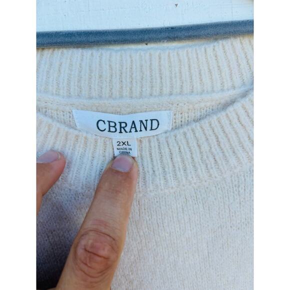 Made to Shine Embroidered‎ Plus Size Sweater, Light Pink, Size 2XL - Picture 3 of 5